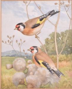 HOPKING Noel Hubert 1883-1964,British a scene of goldfinches perching on thist,Dawson's Auctioneers 2019-02-23