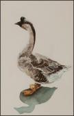 HOPKINSON VICKI,STUDY OF A GOOSE,McTear's GB 2012-09-18