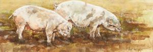 HOPKINSON VICKI,TWO PIGS and PIG WITH GOLD LEAF,McTear's GB 2012-12-02