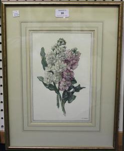HORLEY R.T 1900-1900,Botanical Study of Pink and White Stocks,Tooveys Auction GB 2016-07-13