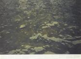 Horn Richard 1955,Still Water (The River Thames, ,1999,Artcurial | Briest - Poulain - F. Tajan 2017-10-24