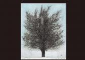 HOSHI Joichi 1913-1979,Tree(black),1974,Mainichi Auction JP 2009-07-25
