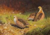 hoskyn ben 1963,Partridges in a landscape,Bonhams GB 2013-05-22
