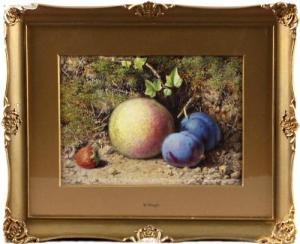 HOUGH William 1819-1897,Still life of fruit on a mossy bank,Bonhams GB 2011-07-27