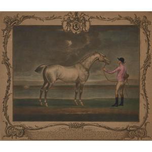 HOUSTON Richard 1721-1775,PORTRAITS OF THE RACE HORSE,Waddington's CA 2017-03-04