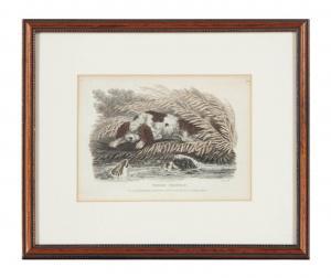 HOWITT William Samuel 1756-1822,Spaniels: Two Plates,Christie's GB 2012-04-03