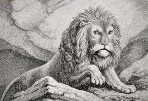 HOWITT William Samuel 1756-1822,Study of a Lion,John Nicholson GB 2017-05-03