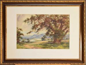 HOYLES William R. 1870-1935,Welsh landscape; landscape,Halls GB 2022-07-06