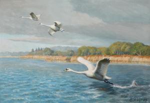 HOYRUP Carl 1893-1961,Flying swans,Bruun Rasmussen DK 2023-04-10