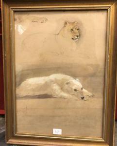 HUBBARD Bennet,Ours blanc et lionne du jardin zoologique de Regen,1852,De Maigret 2021-02-09