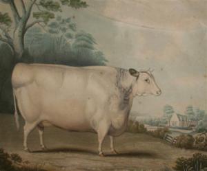 HUBBARD Bennet 1806-1870,The Habertoft Short Horned Prize Cow,Gorringes GB 2010-09-08