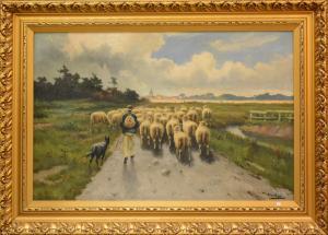 HUBERT Matthys,Troupeau de moutons,Rops BE 2018-08-12