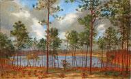 HUDSON John Bradley 1832-1903,Lakeside Forest,1882,Jackson's US 2016-11-29