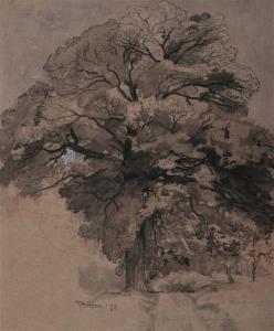 HUET René Ernest 1876-1914,Étude d’’arbre,Tajan FR 2013-11-27