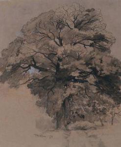 HUET René Ernest 1876-1914,Etude d'arbre,1911,Aguttes FR 2021-03-25