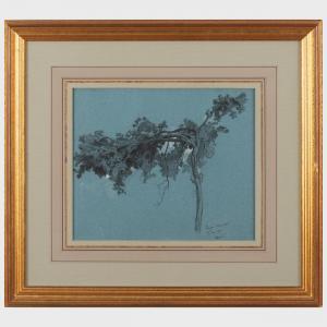 HUET René Ernest 1876-1914,Study of a Tree,1910,Stair Galleries US 2022-12-07