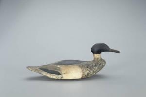 HUEY George R. 1866-1937,Merganser Drake,1880,Copley US 2022-03-05