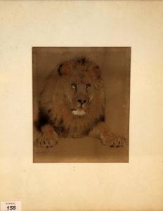 HUGGINS William 1820-1884,LION,Horner's GB 2012-09-08