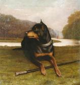 HUGUES C.F,Old English Black and Tan terrier,1879,Bernaerts BE 2009-05-11