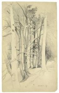 HUMMEL Carl Maria Nicolaus 1821-1907,TREES NEAR DIESSEN,Villa Grisebach DE 2011-11-23