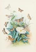 HUMPHREYS Henry Noel 1810-1879,The Genera of British Moths,1850,Hindman US 2014-10-14
