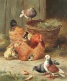 HUNT Edgar 1876-1953,A Rhode Island red and her chicks with three pigeons,1907,Bonhams GB 2018-03-20