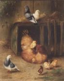 HUNT Edgar 1876-1953,chicken, chicks and pigeons,Sotheby's GB 2003-03-18