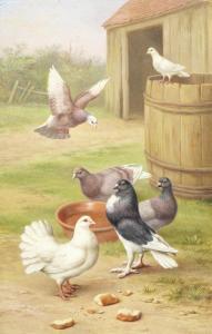 HUNT Edgar 1876-1953,Doves in a farmyard,Bonhams GB 2013-01-23