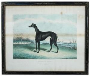HUNT Edwin Henry,"Master Mc Grath" - a black greyhound,Cheffins GB 2015-11-25