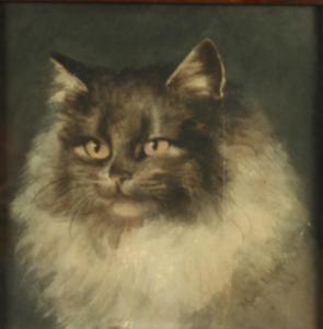 HUNT MURIEL 1900-1906,A Persian cat,David Lay GB 2018-07-26