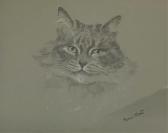 HUNT MURIEL 1900-1906,Study of a Cat,Duggleby Stephenson (of York) UK 2020-06-19