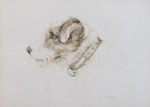 HUNT MURIEL 1900-1906,Study of a wire-haired Jack Russell terrier,Clevedon Salerooms GB 2019-06-13