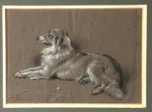 HUNT W.H 1790-1864,Portrait of a Collie dog,1899,Tring Market Auctions GB 2009-07-31