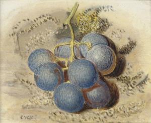 HUNT William Henry 1790-1864,A bunch of grapes,Christie's GB 2009-11-18