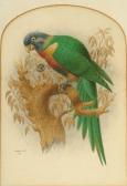 HURST Richard 1800-1800,Study of a parrot,1883,Bonhams GB 2004-07-28