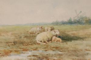 HUTCHINSON max,Sheep on the marshes,Burstow and Hewett GB 2009-10-21