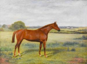 HYLAND Benedict 1800-1900,Chestnut Horse in pasture,1876,Tennant's GB 2023-01-27