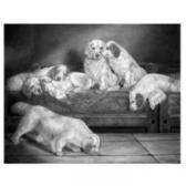 HYLAND Benedict 1800-1900,FAMILY OF CLUMBER SPANIELS,William Doyle US 2003-02-11