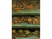 HYNES Stephen 1944,AUTUMN STEPS,Hodgins CA 2007-11-26