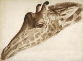 IACOVLEFF Alexander Evgenevich 1887-1938,Giraffe,1925,Christie's GB 2012-12-06