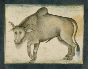 INDIAN SCHOOL,AN OX WALKING TO THE LEFT, INDIA,Sotheby's GB 2012-10-03
