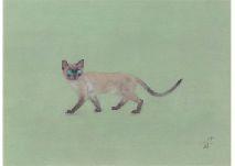 IRIE Yuichiro,Siamese cat,Mainichi Auction JP 2020-12-04