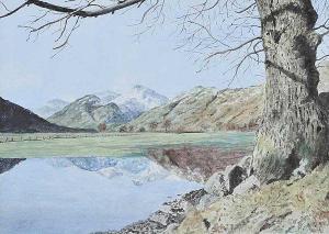 IRISH SCHOOL,LOUGH REFLECTIONS,Ross's Auctioneers and values IE 2016-01-28