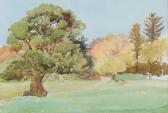 IRWIN José 1900-1900,PATH BY THE TREE,Ross's Auctioneers and values IE 2024-03-20