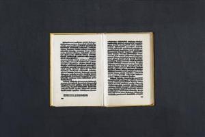 ISGRO Emilio 1937,Libro cancellato,1972,Palais Dorotheum AT 2016-06-01