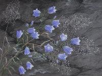 ISHERWOOD Christine,Harebells and Brown Bent Grass,Shapes Auctioneers & Valuers GB 2012-02-04