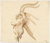 ISOPI Antonio 1758-1833,Kopf eines Ziegenbockes,Galerie Bassenge DE 2014-05-30