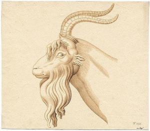 ISOPI Antonio 1758-1833,Kopf eines Ziegenbockes,Galerie Bassenge DE 2014-05-30