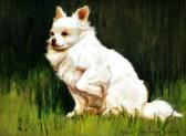 ISTVANFFY Gabriella Rainer 1877-1964,A white Pomeranian dog,Rosebery's GB 2010-06-08