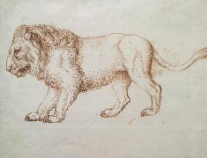 ITALIAN SCHOOL,Un lion de profil,17th century,Aguttes FR 2017-12-19